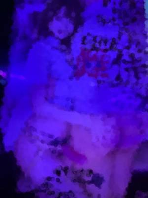 ツムギ 24歳