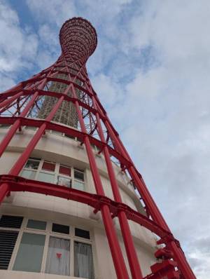 アリス 23歳