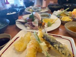 ハナビ 23歳