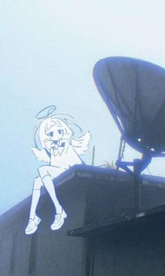 アノ 18歳