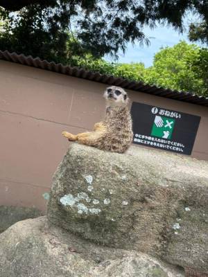 さくや 22歳