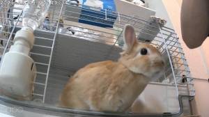 まほ 23歳