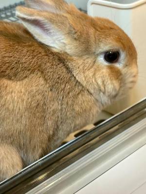 まほ 23歳