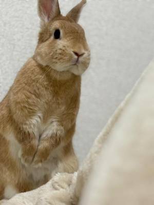 まほ 23歳