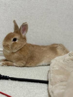 まほ 23歳