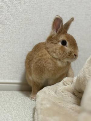 まほ 23歳