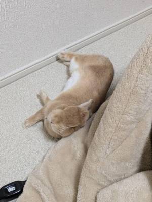 まほ 23歳