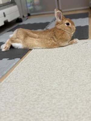まほ 23歳