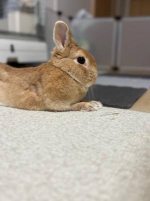 まほ 23歳