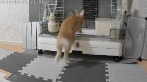 まほ 23歳