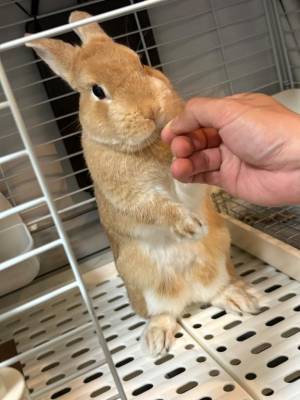 まほ 23歳