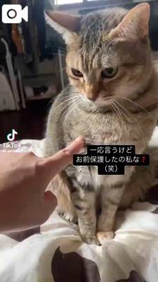 ましろ 20歳