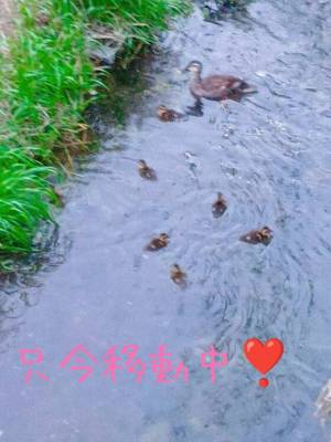 あんり 33歳