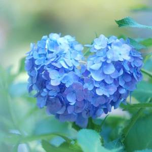 みこと 35歳
