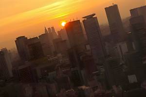 聖（ひじり） 36歳