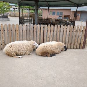 つむぎ 28歳