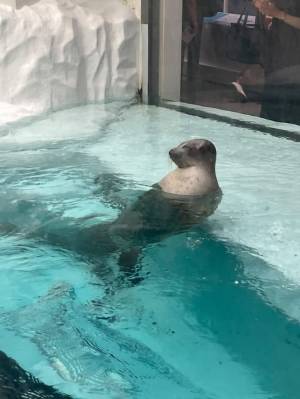 はち 19歳
