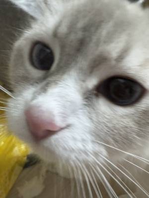 くるみ 18歳