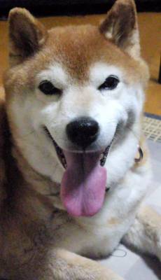 りんか 21歳