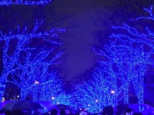 清華はるみ 49歳