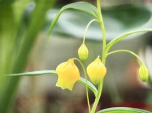 須藤しおり 51歳