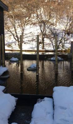 伊波しゅり 53歳