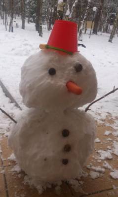 伊波しゅり 53歳