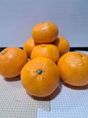 朝日なつみ 41歳