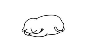 神代ちはや 39歳