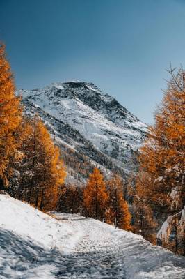 高徳ひかり 40歳