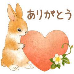 葛西なつめ 48歳