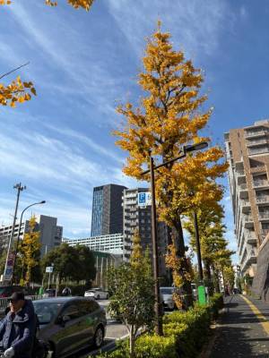 森川つばき 47歳