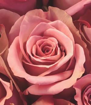 森川つばき 47歳