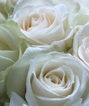 森川つばき 47歳