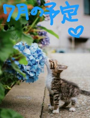 みき 26歳