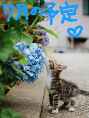 みき 26歳