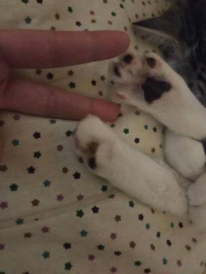 ねね 24歳