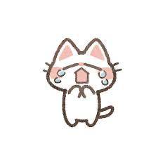 きなこ 20歳