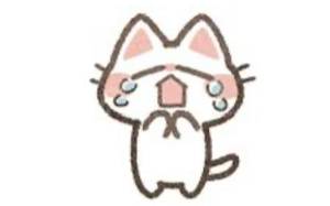 きなこ 20歳