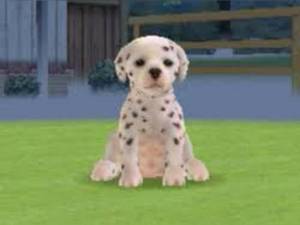 キュアりりちゃん 19歳