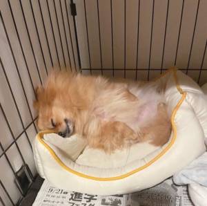 まい 19歳