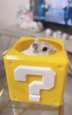 もこ 19歳