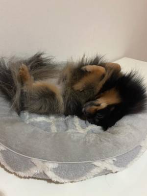 武下まおみ 25歳