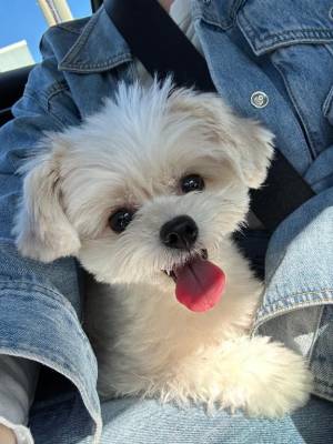 武下まおみ 25歳