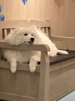 武下まおみ 25歳