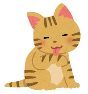 らら 19歳