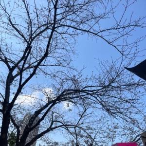 いよ 24歳