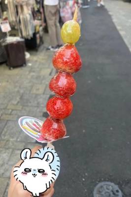 アナ 20歳