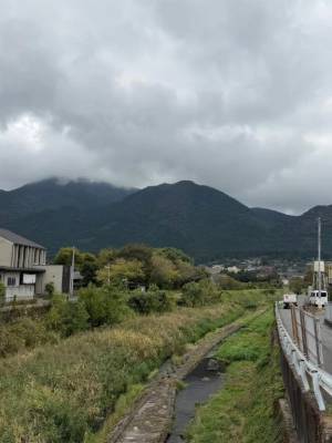 アナ 20歳