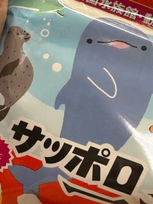 かぐや 23歳